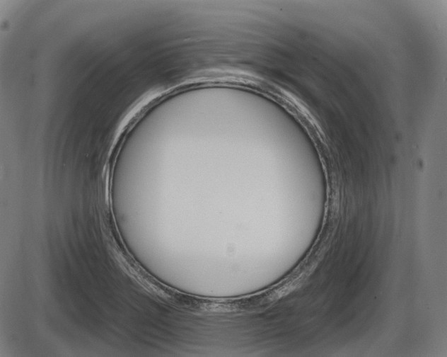 X0000086321275200703300856