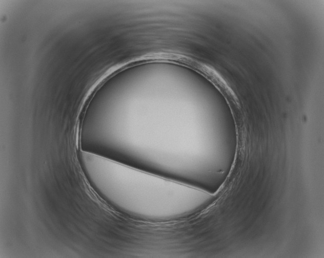 X0000086321276200703300856