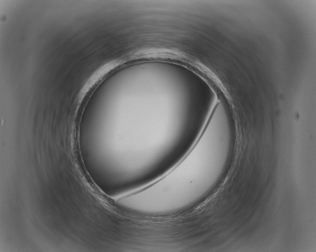 X0000086321277200703300856