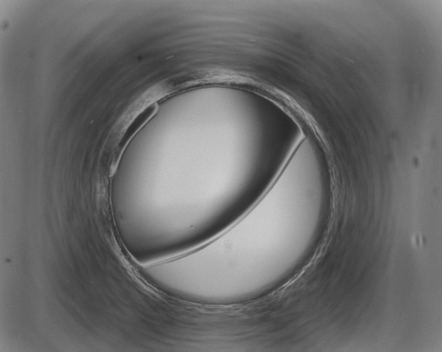 X0000086321281200703300856