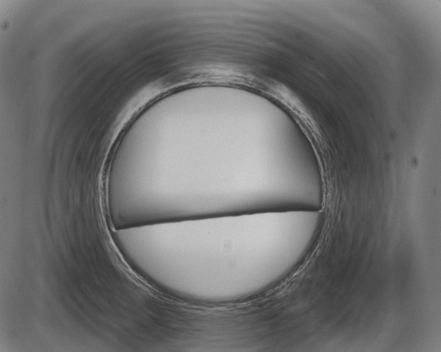X0000086321283200703300855
