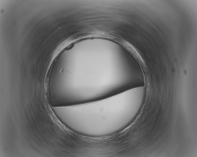 X0000086321292200703300855