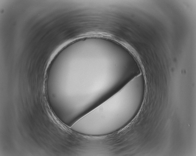 X0000086321296200703300855