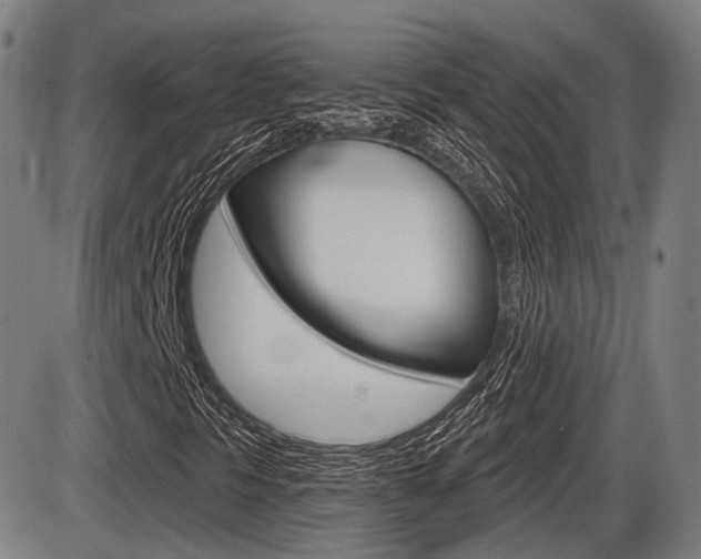 X0000086321297200703300854