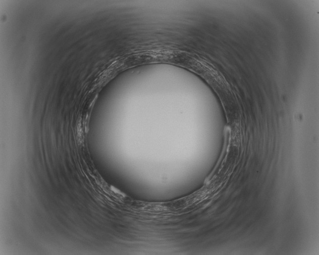 X0000086321298200703300854