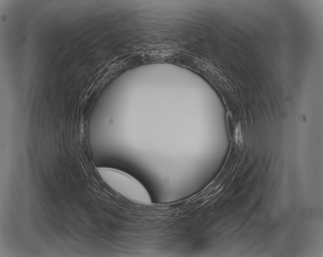 X0000086321299200703300854