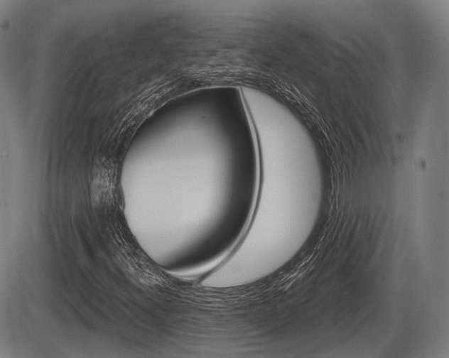 X0000086321300200703300855