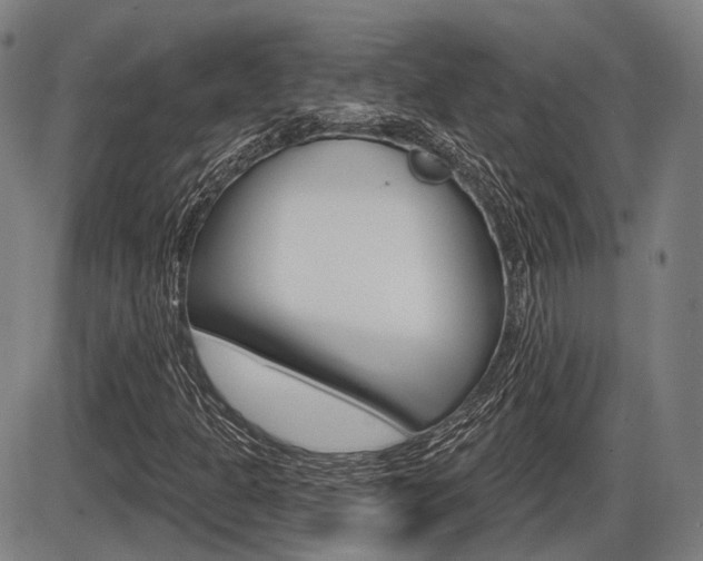X0000086321301200703300855