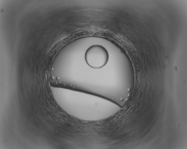 X0000086321302200703300855