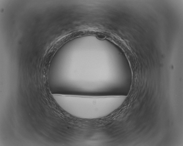 X0000086321303200703300855