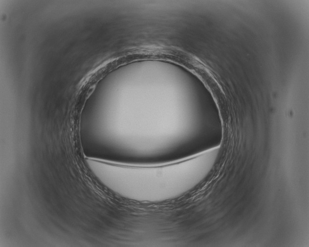 X0000086321304200703300855