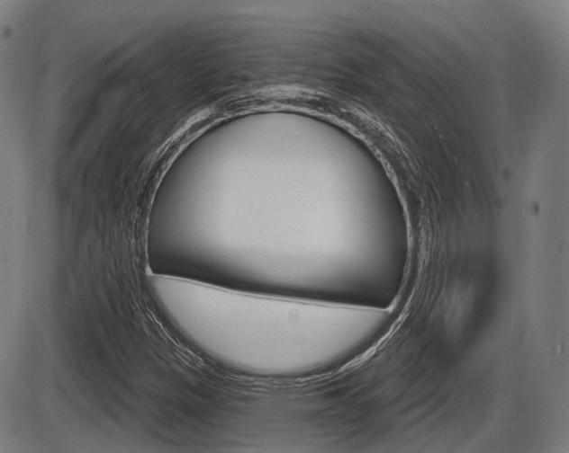 X0000086321305200703300855