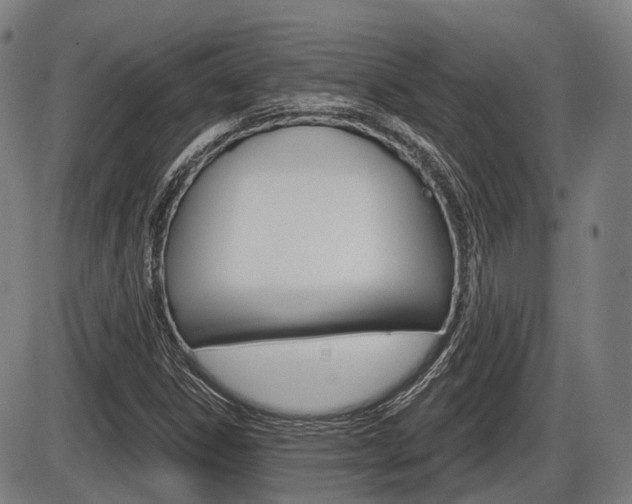 X0000086321306200703300855