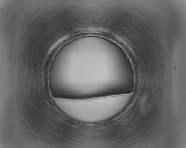 X0000086321307200703300855