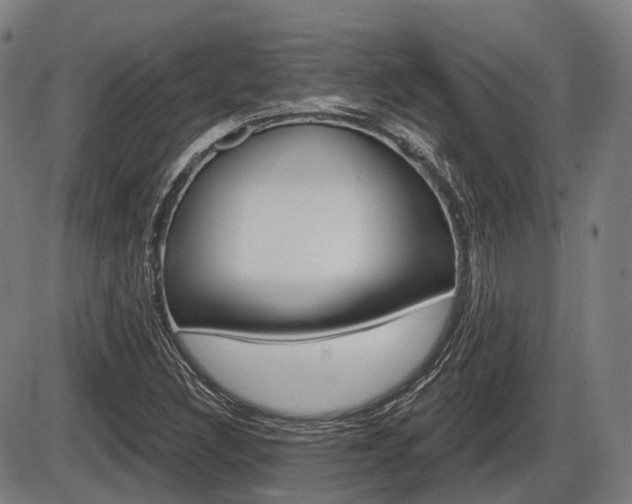 X0000086321308200703300855