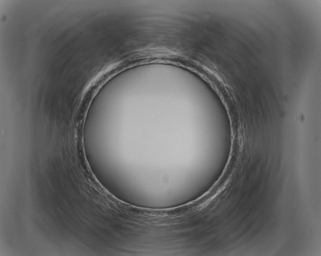 X0000086321309200703300855