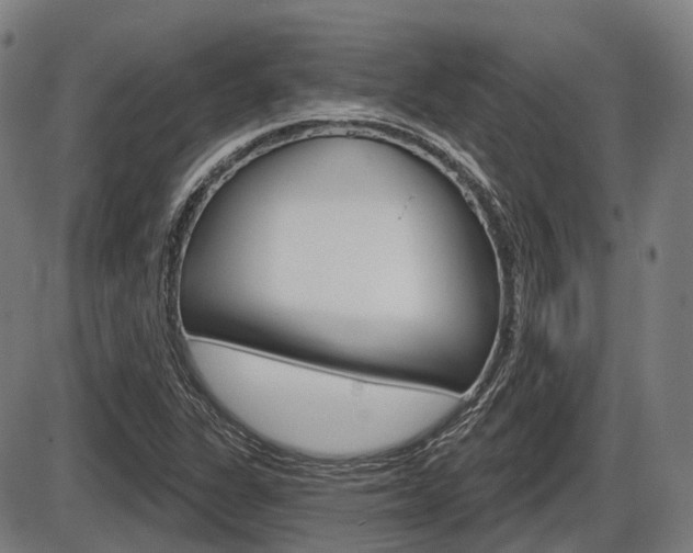 X0000086321311200703300855