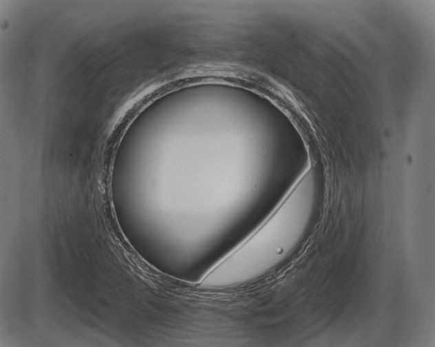 X0000086321312200703300855