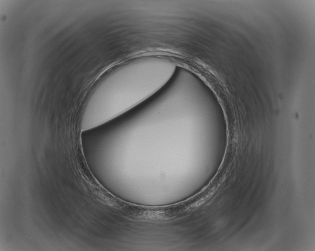 X0000086321313200703300855