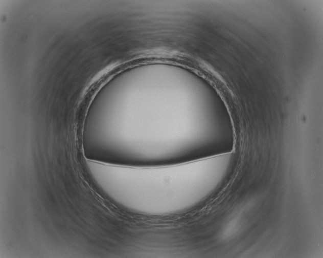 X0000086321315200703300855