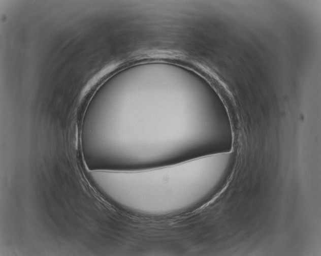 X0000086321317200703300855