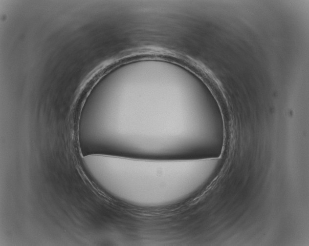 X0000086321318200703300855
