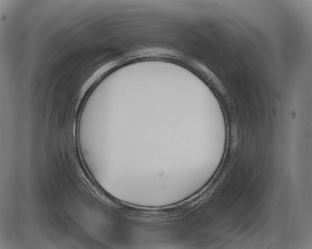 X0000086321322200703300855