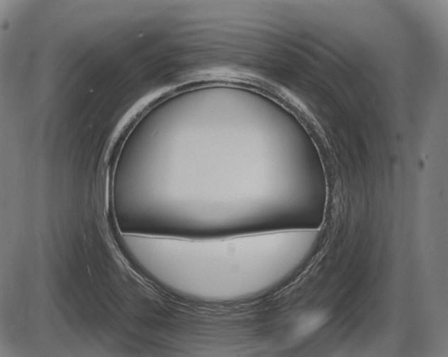 X0000086321323200703300855