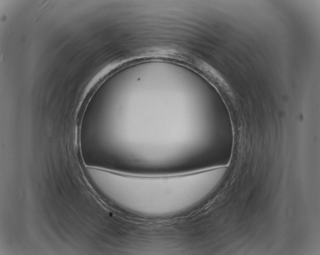 X0000086321324200703300855
