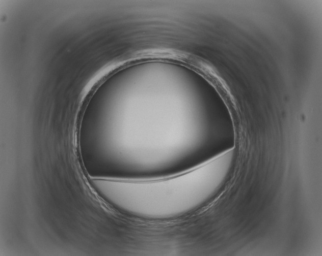 X0000086321328200703300855