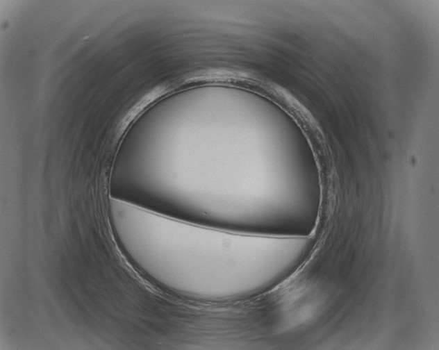 X0000086321329200703300855