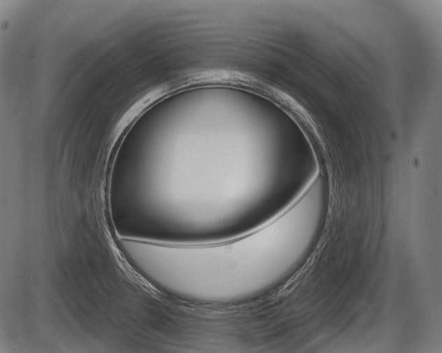 X0000086321330200703300855