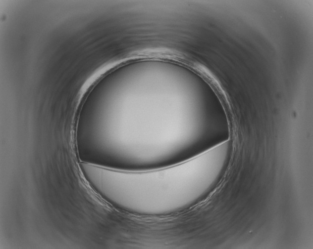X0000086321336200703300855