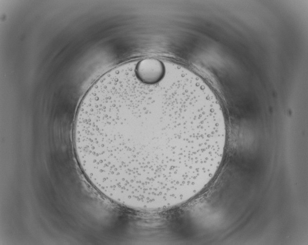 X0000086321338200703300855