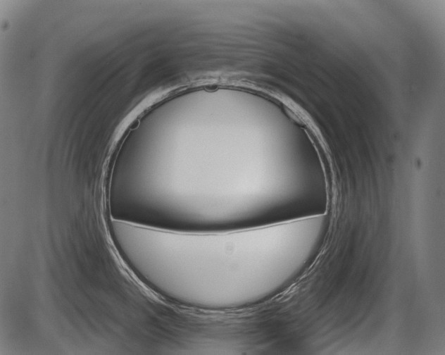 X0000086321341200703300855