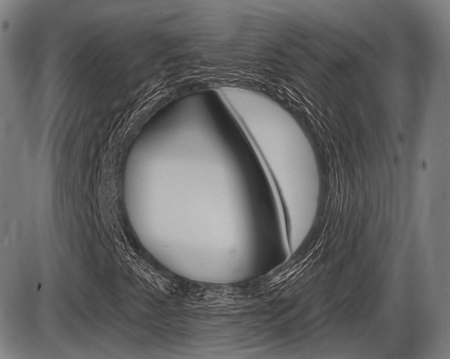 X0000086321345200703300854