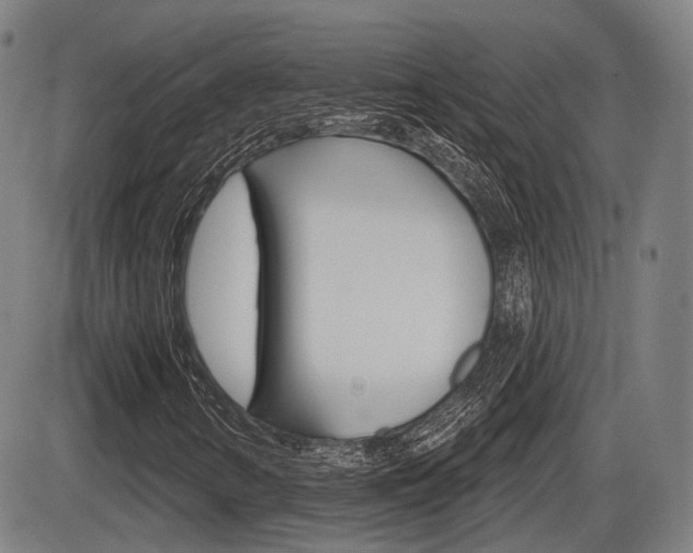 X0000086321346200703300854