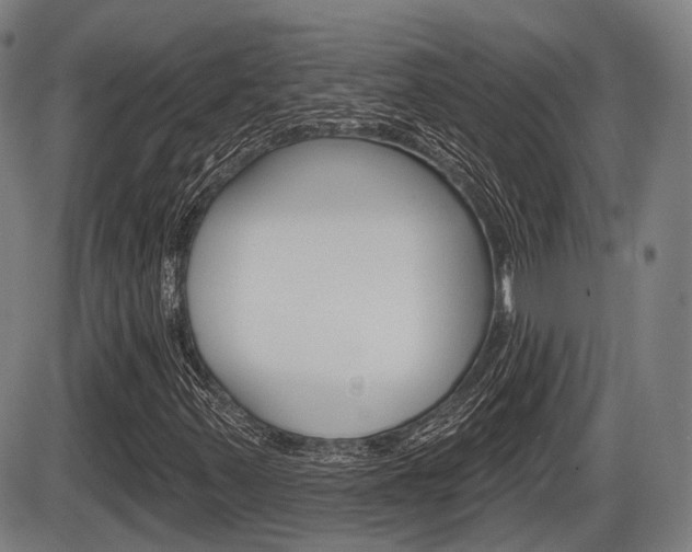 X0000086321347200703300854