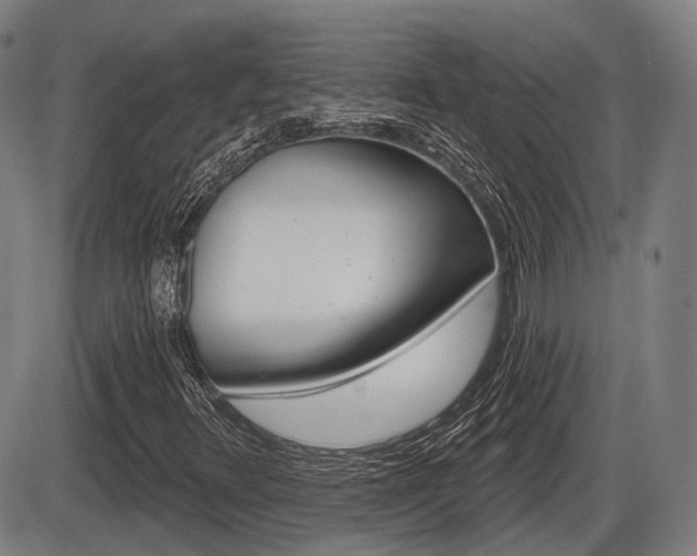X0000086321348200703300854