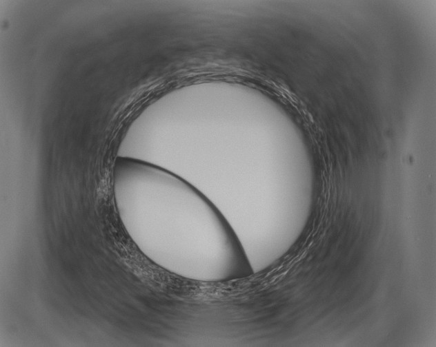 X0000086321350200703300854