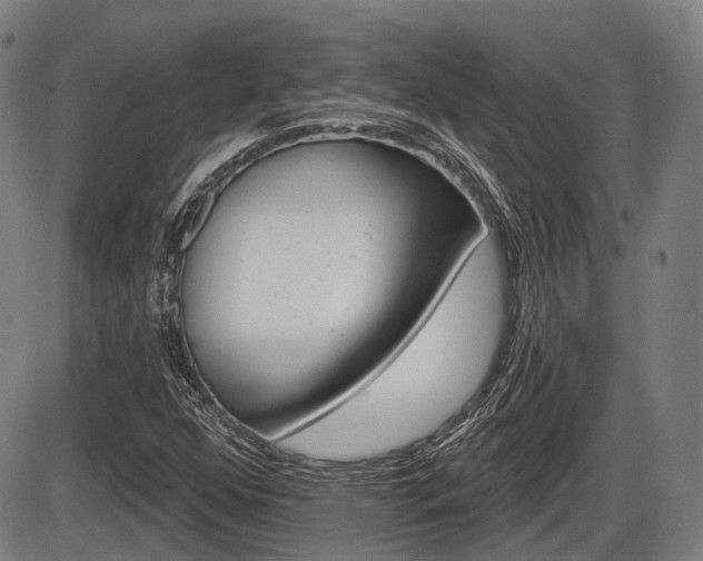 X0000086321352200703300854