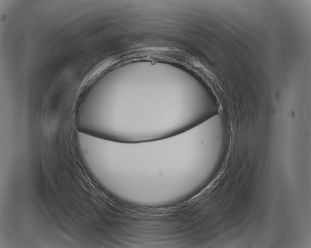 X0000086321354200703300854