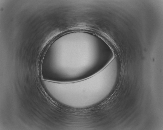 X0000086321356200703300854