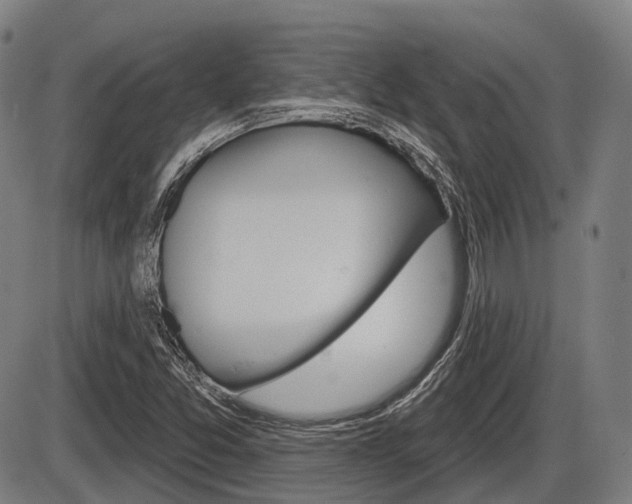 X0000086321357200703300854