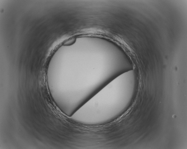X0000086321358200703300854