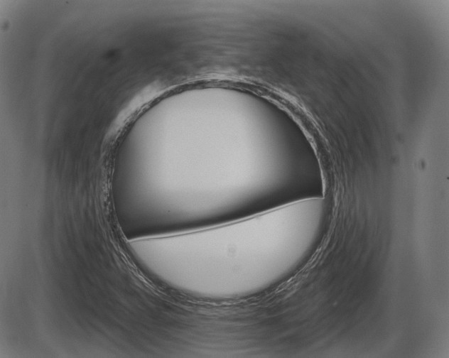 X0000086321359200703300854