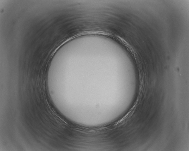 X0000086321361200703300854