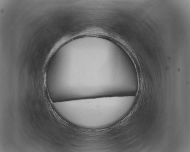 X0000086321366200703300854