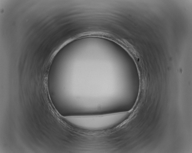X0000086321369200703300854