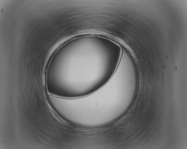 X0000086321372200703300854